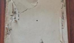 广州探店爆料视频最新版,网红美食地图更新，这些隐藏美味不容错过！